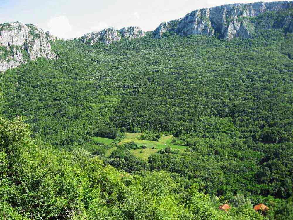 Planina Kusača