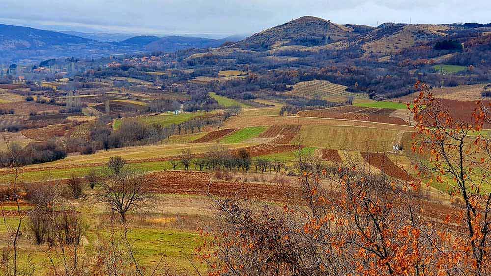 Preseka i Trstenik